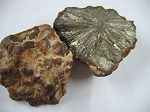 Marcassite boule
